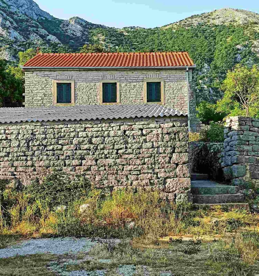 Old House Djurovic Villa Herceg Novi Eksteriør bilde